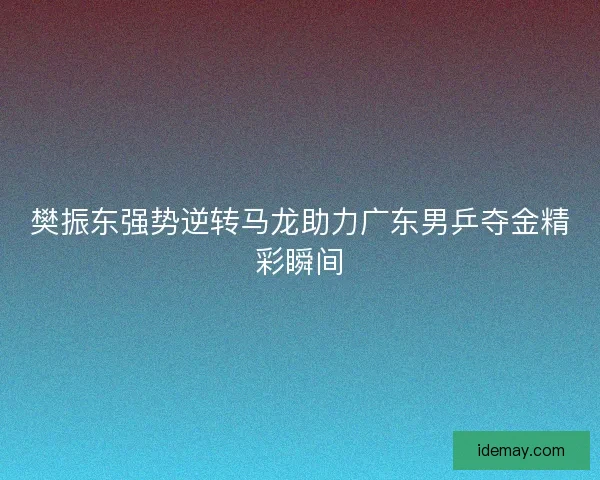 樊振东强势逆转马龙助力广东男乒夺金精彩瞬间