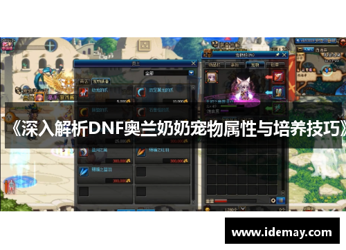 《深入解析DNF奥兰奶奶宠物属性与培养技巧》